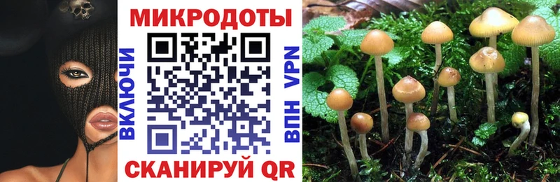 Галлюциногенные грибы MAGIC MUSHROOMS  Купить где  Бутурлиновка 